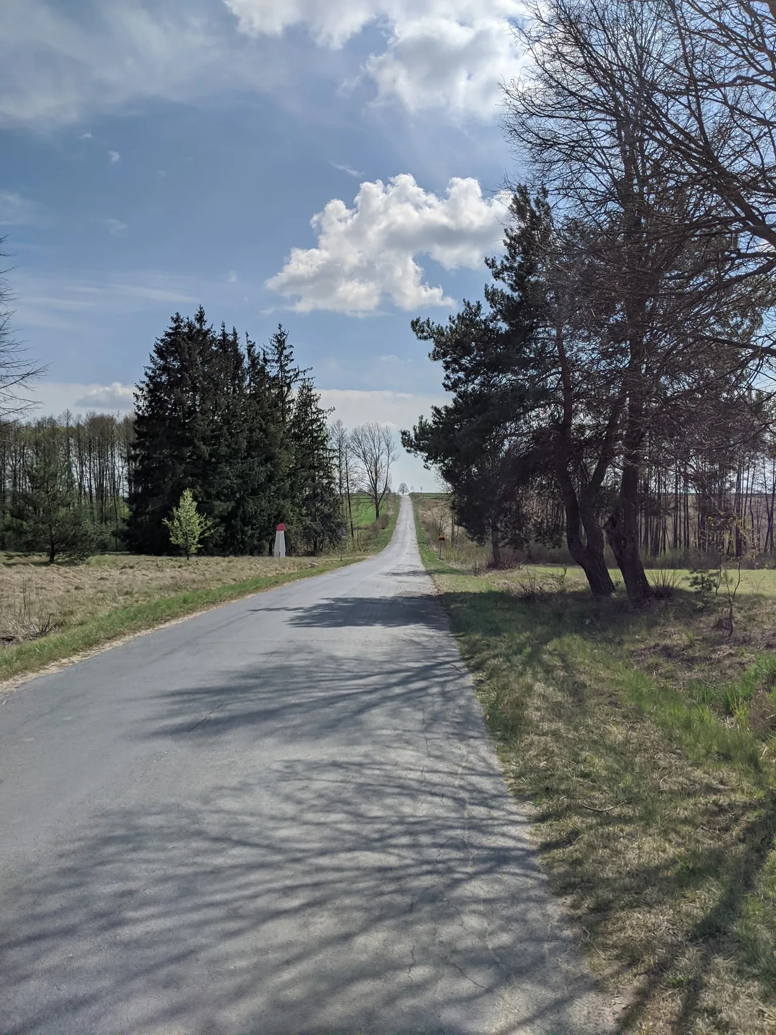 Asfaltowa droga wśród pól i drzew