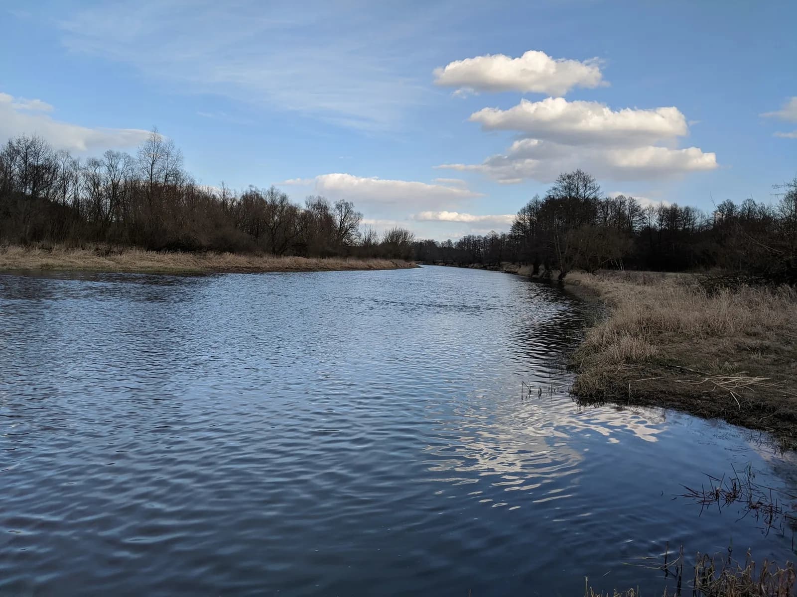 Widok rzeki podczas wycieczki po okolicy